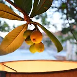 Uzum Tatil Evi Szálloda Selimiye