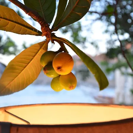 Uzum Tatil Evi ホテル セリミエ