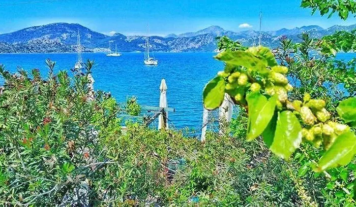 Uzum Tatil Evi Ξενοδοχείο 3*