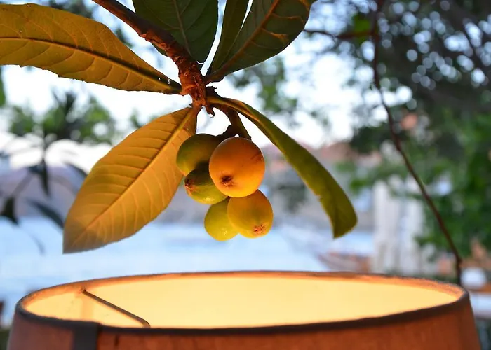 Uzum Tatil Evi Hotel Selimiye (Aegean)