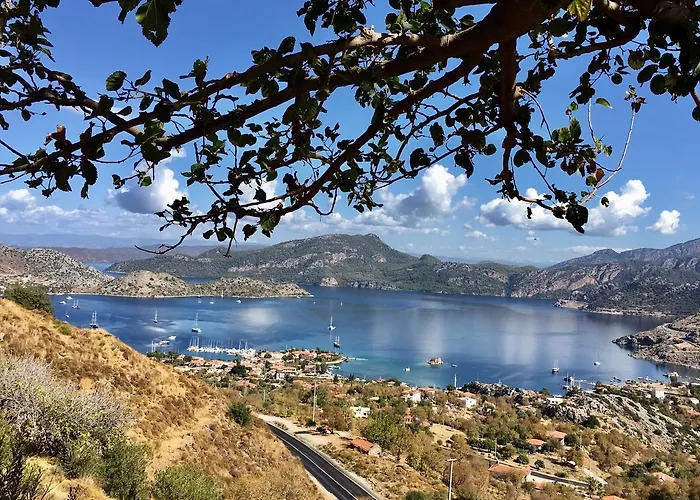 Hotel Uzum Tatil Evi Selimiye (Aegean)